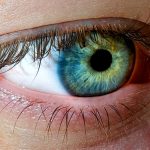 Yeux verts et bleus