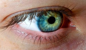 Yeux verts et bleus