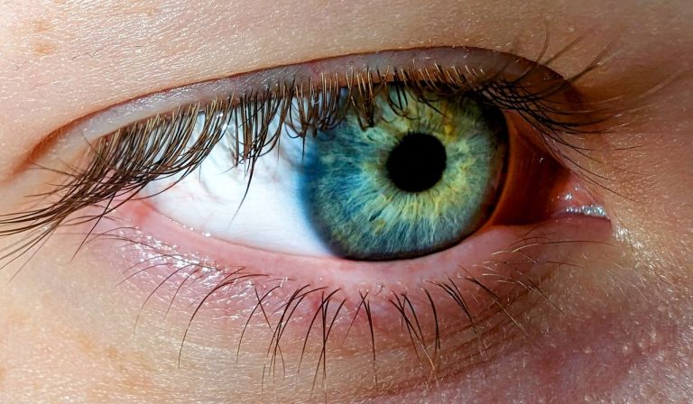 Yeux verts et bleus